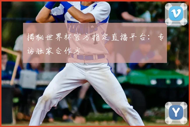 揭秘世界杯官方指定直播平台:专访独家合作方