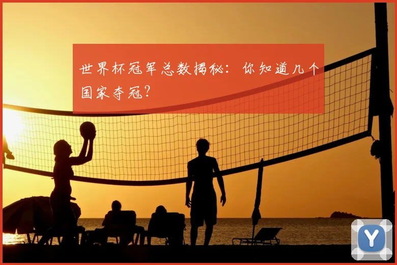 世界杯冠军总数揭秘:你知道几个国家夺冠?