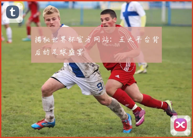 揭秘世界杯官方网站:五大平台背后的足球盛宴